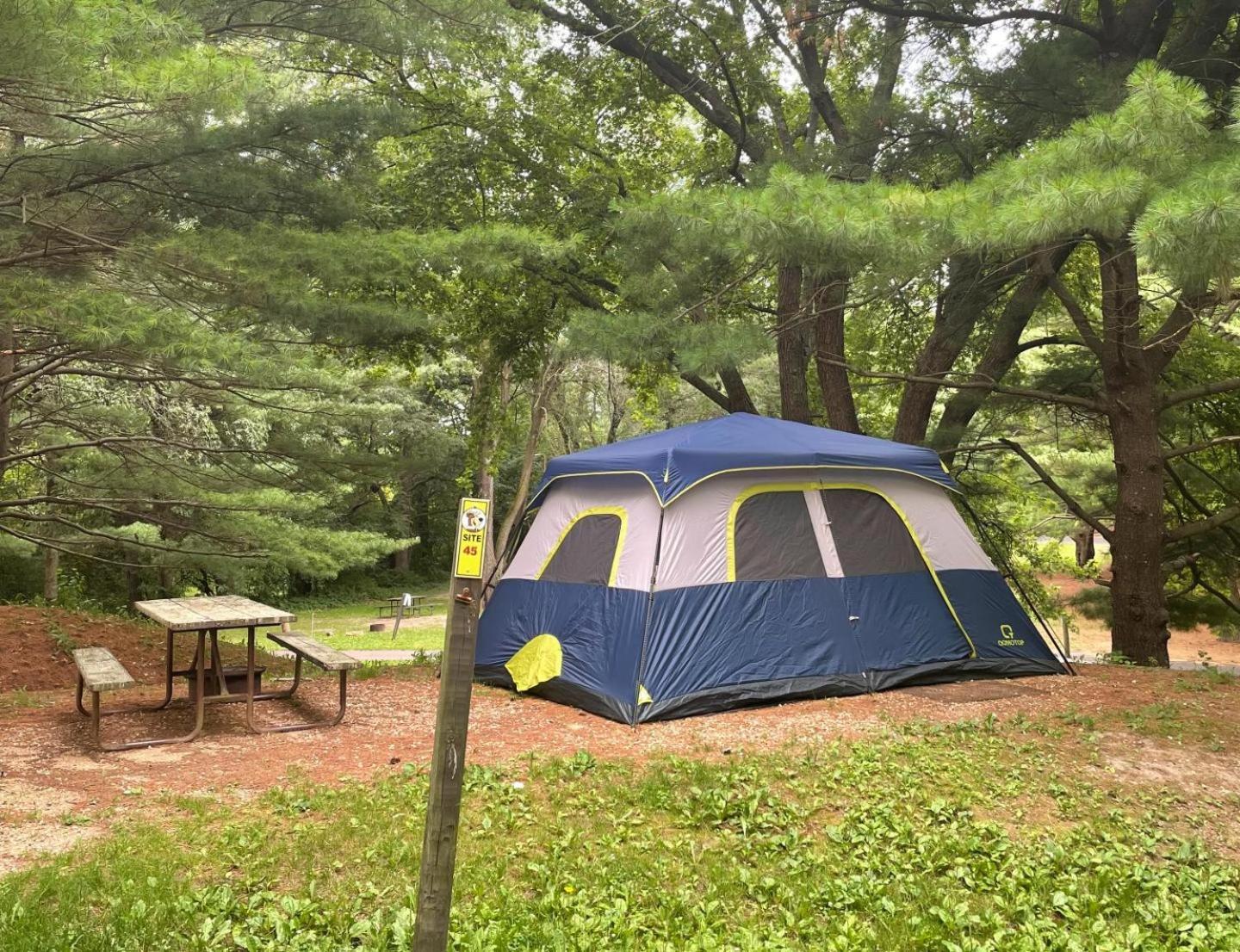 Yogi Bear'S Jellystone Park Camp-Resort Wisconsin Dells Lake Delton Exterior photo